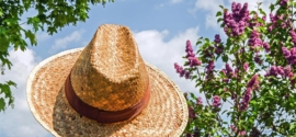 Solbari: Premium Sun Protection for a Healthier Outdoor Lifestyle